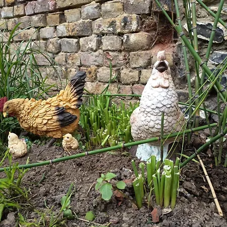 Hébergement de vacances Couleurs Et Fantaisies *